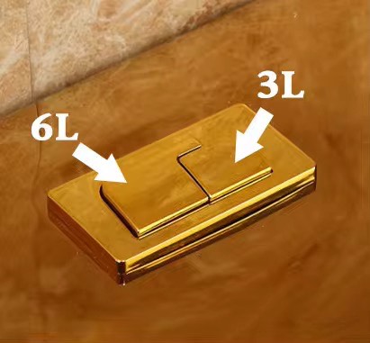Luxury Modern Gold Toilet | Dual Flush Floor Mounted