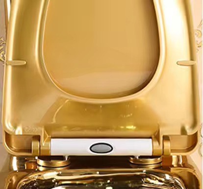 Luxury Modern Gold Toilet | Dual Flush Floor Mounted