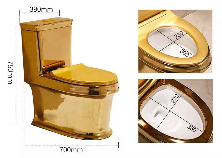 Luxury Modern Gold Toilet | Dual Flush Floor Mounted