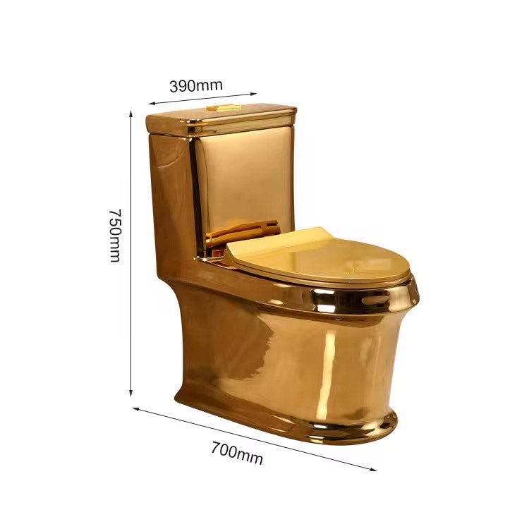 Luxury Modern Gold Toilet | Dual Flush Floor Mounted