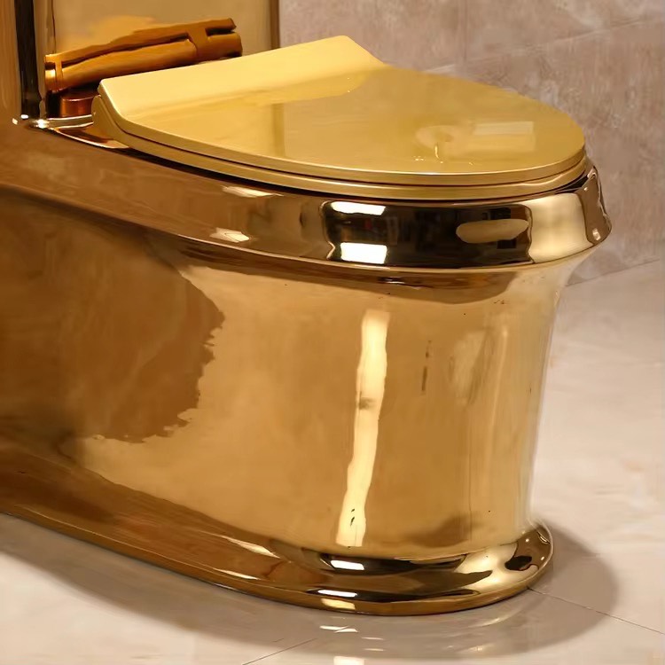 Luxury Modern Gold Toilet | Dual Flush Floor Mounted